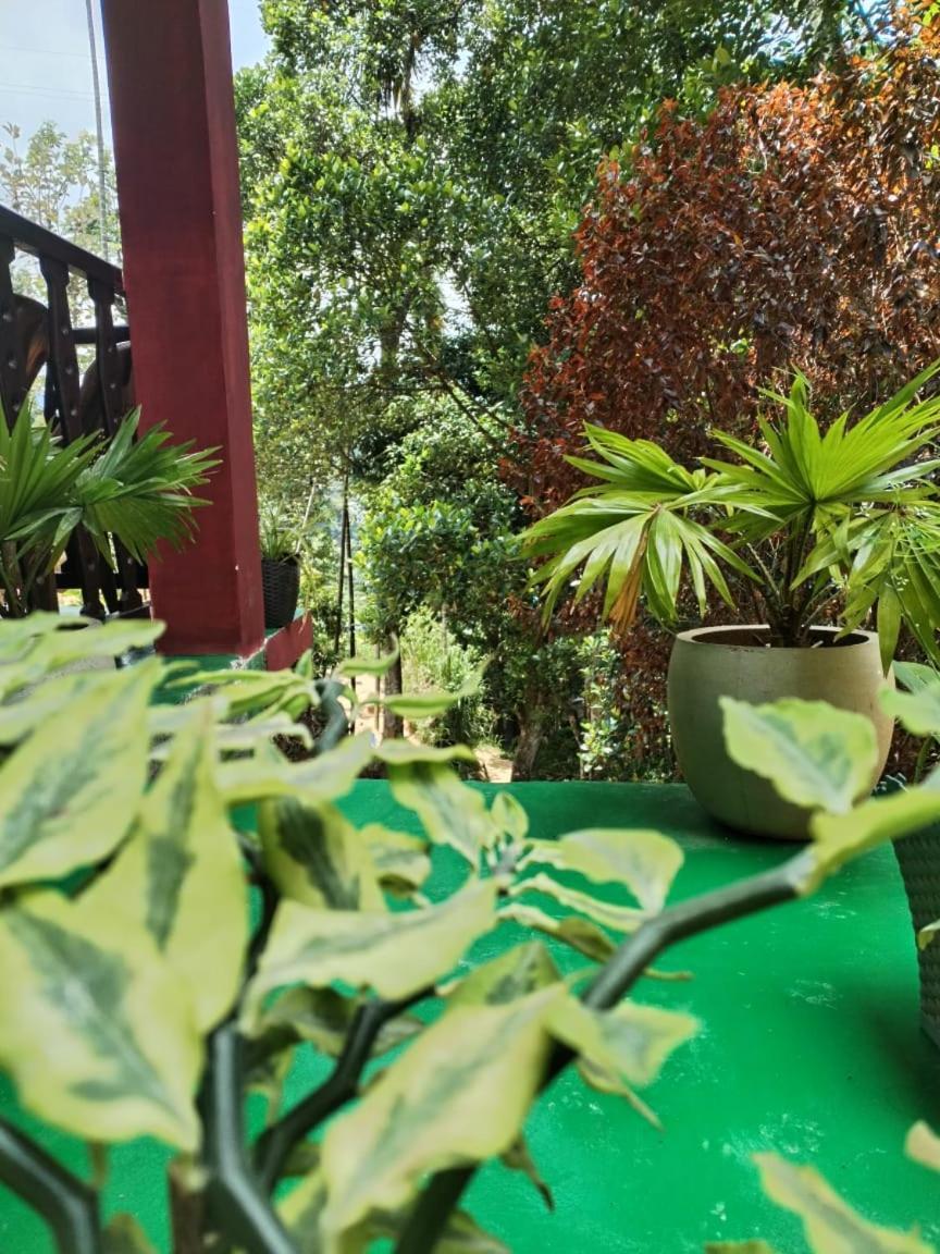 Ella Shali'S Home Extérieur photo